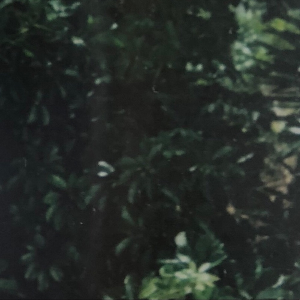 Meet your Posher, Judy